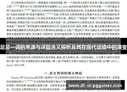 足总一词的来源与深层含义探析及其在现代语境中的演变