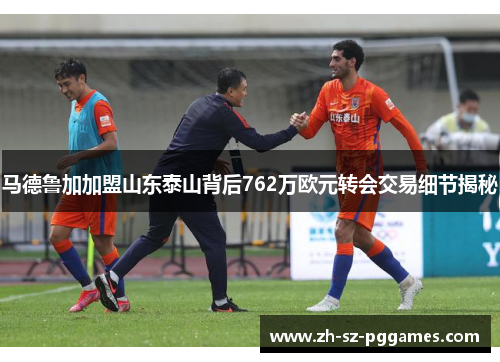 马德鲁加加盟山东泰山背后762万欧元转会交易细节揭秘